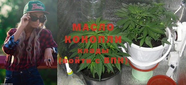МДПВ Туринск